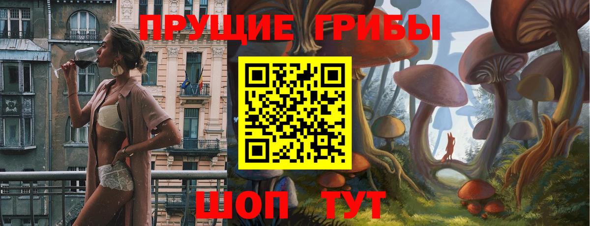 Канаш  Псилоцибиновые грибы Psilocybe  Вход с VPN 